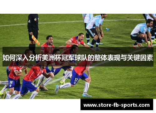 如何深入分析美洲杯冠军球队的整体表现与关键因素