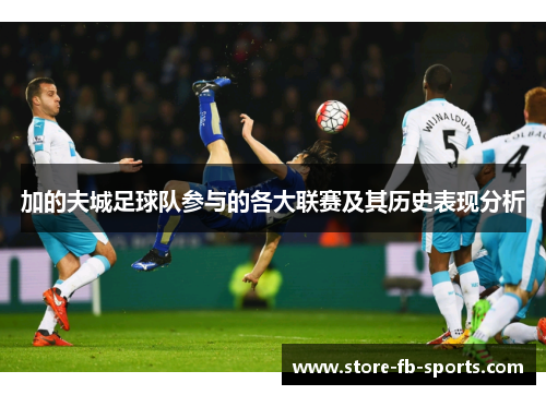 加的夫城足球队参与的各大联赛及其历史表现分析