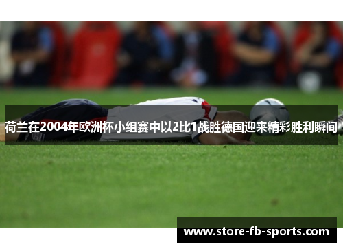 荷兰在2004年欧洲杯小组赛中以2比1战胜德国迎来精彩胜利瞬间 荷兰在2004年欧洲杯小组赛中以2比1战胜德国迎来精彩胜利瞬间