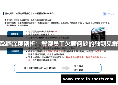 赵鹏深度剖析:解读员工欠薪问题的独到见解 赵鹏深度剖析:解读员工欠薪问题的独到见解