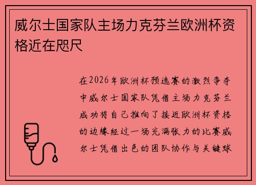 威尔士国家队主场力克芬兰欧洲杯资格近在咫尺
